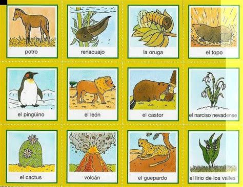 Esta selección de preguntas y respuestas para ampliar conocimientos puede hacer que te pongas a prueba mientras aprendes sobre ciencia, historia, arte, etc. PARA NIÑOS E INFANTIL: JUEGO DE PREGUNTAS Y RESPUESTAS ...