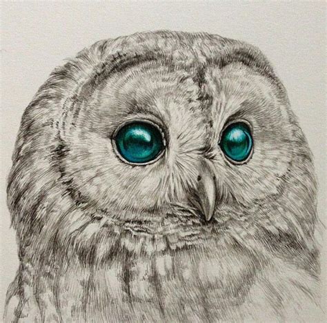 Amazing Drawing Owls Drawing Pen Drawing Animal Drawings Painting