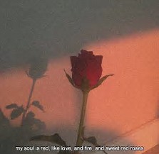 Image result for roses tumblr with fire