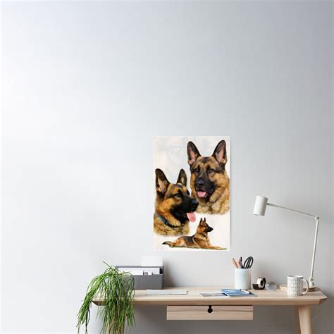 German Shepherd Collage Poster For Sale By Sandyk Redbubble