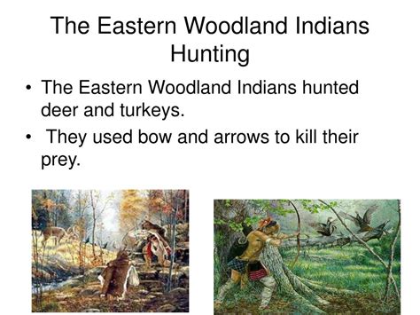 Ppt Eastern Woodlands Indians Powerpoint Presentation Free Download