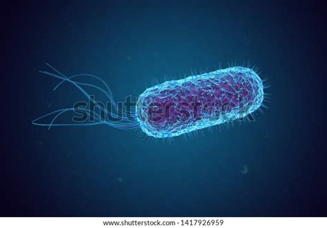 Escherichia Coli E Coli Bacteria Under Stock Illustration 1417926959