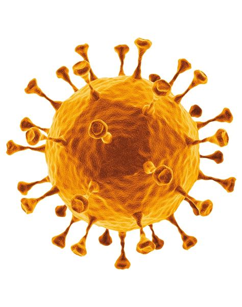 Premature infants are often affected by the rs virus, but adults can also become infected. Risiko RS-Virus: Frühchen besonders gefährdet | Presseportal