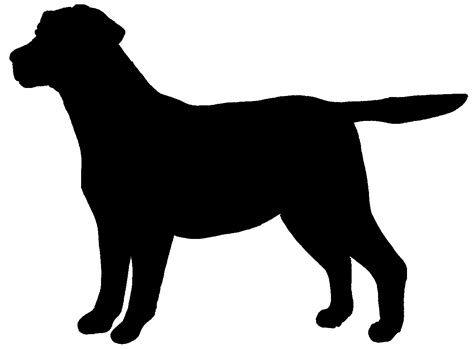 Black Labrador Drawing Outline ~ Pin Em Cut Files Bodaswasuas