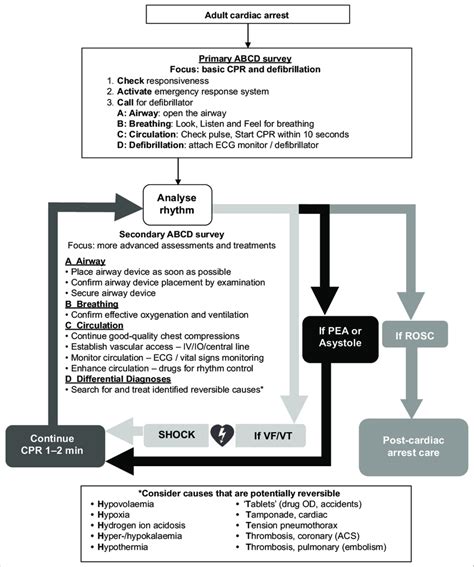 Advance Cardiac Life Support Algorithm Download Scientific Diagram