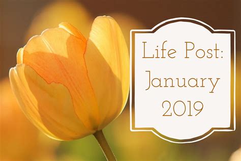 Life Post January 2019 The Senspirational Artroom