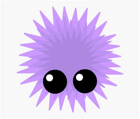 Sea Urchin Drawing Easy Hd Png Download Kindpng