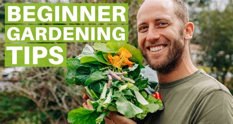 Beginner Gardening Tips For A Successful Garden Grow Your Own Food Robin Greenfield