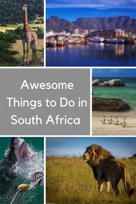 The Best Things To Do In South Africa In 2021 The Planet D