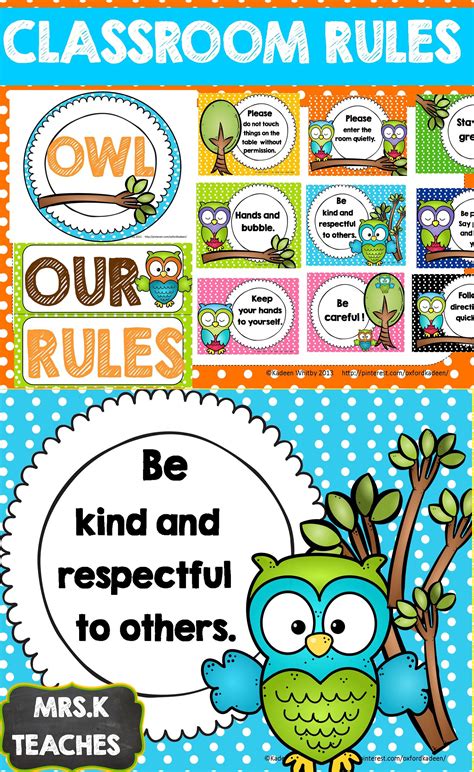 Owl Theme Classroom Rules Set Editable