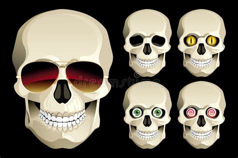 Set Of Funny Skulls Stock Vector Illustration Of Flowers 45312228