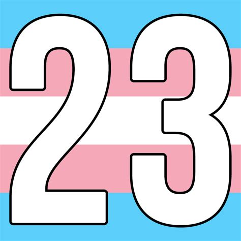 23 (film), a 1998 german film. 23 Ways to Put Trans Advocacy into Action