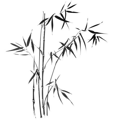 Dessin De Bambou Vectoriels Et Illustrations Libres De Droits Istock