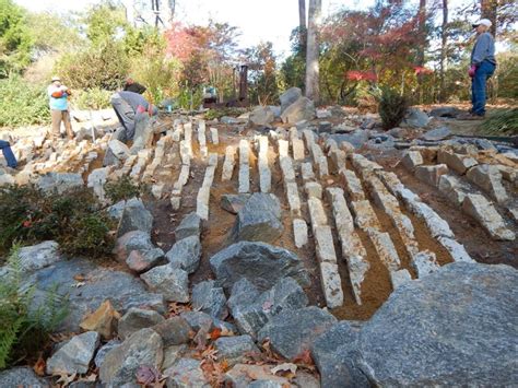 Concrete Crevice Garden To Open In Kennesaw On Dec 8