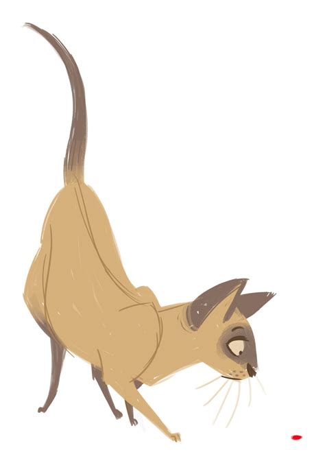 Daily Cat Drawings — 149 Siamese Cat Sketch Cat Art Cat Sketch Cat