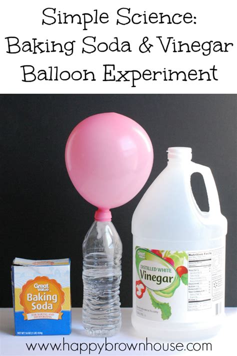 Easy Vinegar And Baking Soda Balloon Experiment For Kids