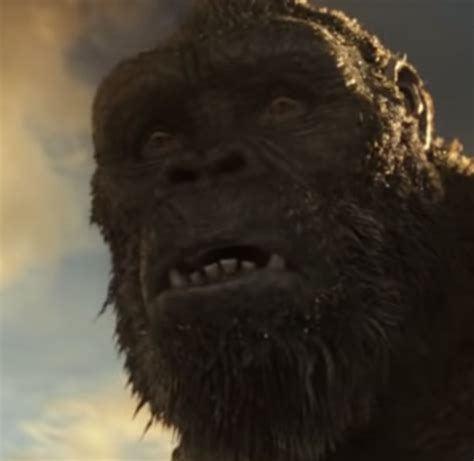Tenor will be adopting the google terms of service and privacy policy for all accounts starting on march 3, 2021. Godzilla vs. Kong: Who Ya Got? - The Ringer