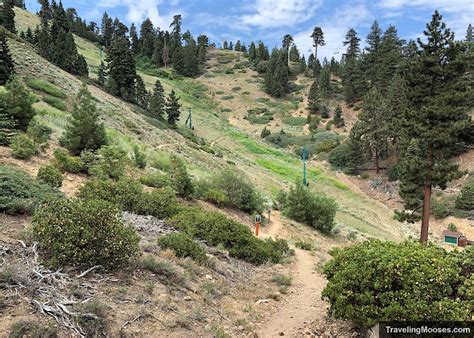 Bobsled Hiking Trail In Big Bear California