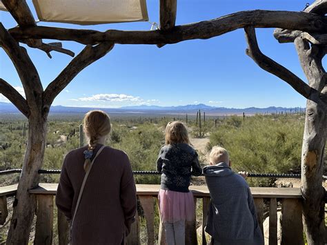 Arizona Sonoran Desert Museum Near Tucson Phoenix With Kids