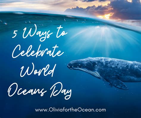 5 Ways To Celebrate World Oceans Day Olivia For The Ocean