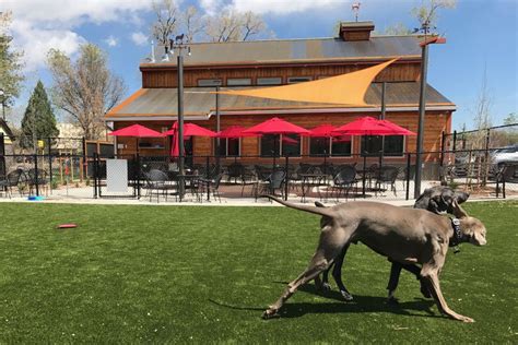 Colorado Springs Colo — A New Restaurant In Colorado Springs Claims