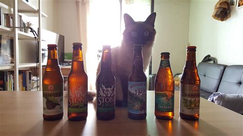 My Two Loves Cats And Beers Beer Cats Love Cat
