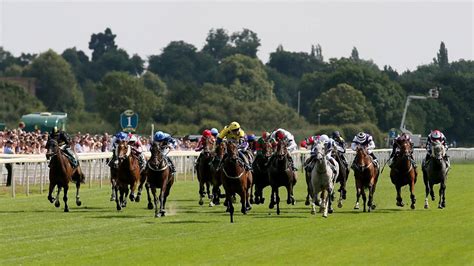 York Races Tips Racecard Declarations And Preview For The Racing Live