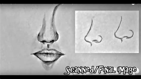 Drawing Of Noses And Lips