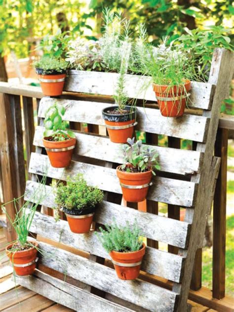 Rumah pun terlihat nyaman karena kehadiran tanaman yang memberikan kesejukan dan oksigen. Beraneka Bunga Di Halaman Ditukar Kepada Tanaman Sayur ...