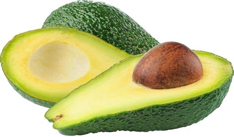 Avocado Png Image Purepng Free Transparent Cc0 Png Image Library