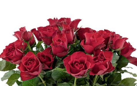 Use them in commercial designs under lifetime, perpetual & worldwide rights. HD *** Bunch Of Red Roses *** Wallpaper | Download Free ...