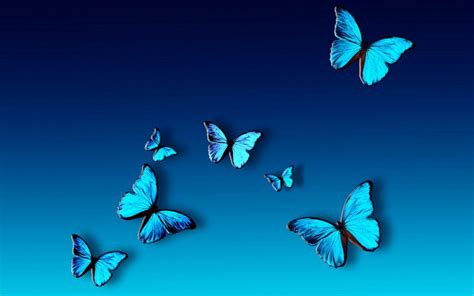 Blue Butterfly Abstract Backgrounds