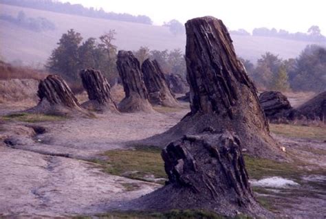 Fossil Forest Of Dunarobba Umbria Italy A Forest Of Ancient