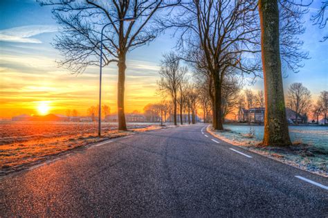 Trees On Road Both Side Morning Outdoors Nature 5k Hd Nature 4k