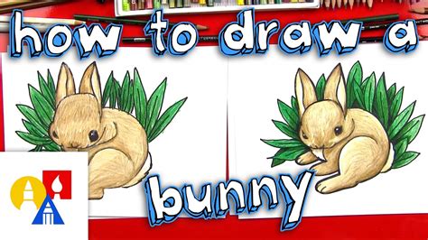 How To Draw A Realistic Bunny Youtube