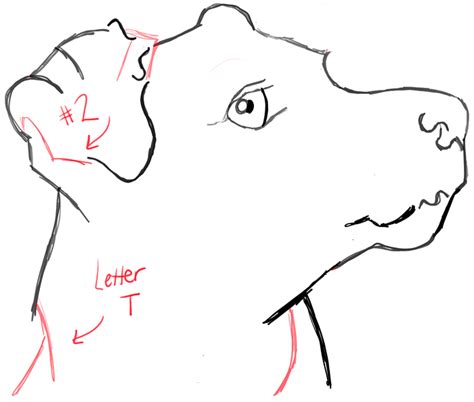 Start with basic shapes and forms. How to Draw a Terrier's Face / Dog's Face with Easy Steps - How to Draw Step by Step Drawing ...