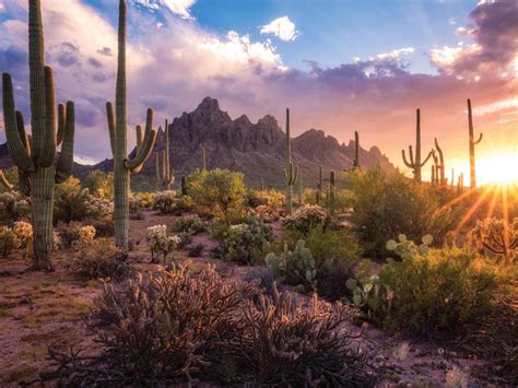 The Sonoran Desert In Arizona Photographed By Gannon Mcghee R