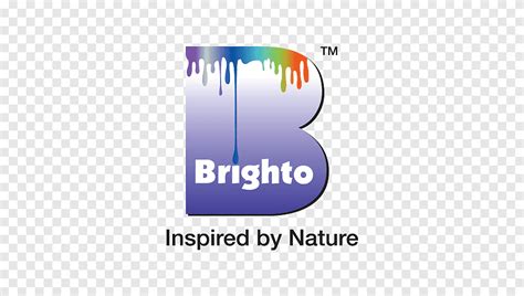 Brighto Paints Brand Logo Product Design Bright Brain Logo Text Logo