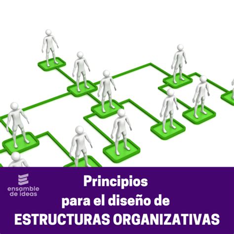 Los 12 Principios Para El Diseño De Una Estructura Organizativa