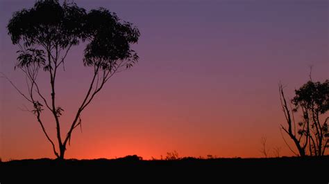 Australian Sunset Landscape Establishing Stock Footage Sbv 301101175