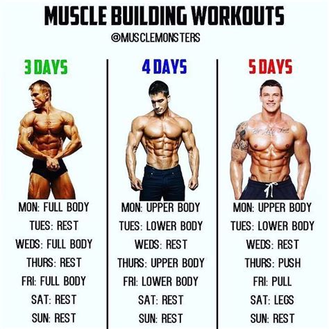 Muscle Building Workouts Workout Hela Kroppen Tr Ning
