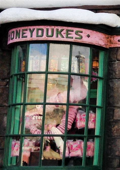 Window Shopping The Wizarding World Of Harry Potter In Literature