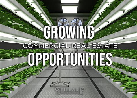 Vertical Farming and Commercial Real Estate: A Sustainable Partnership
