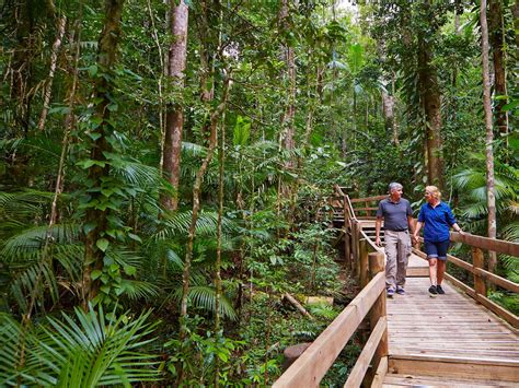 Daintree Village Explore The Forest Of The Daintree National Park My