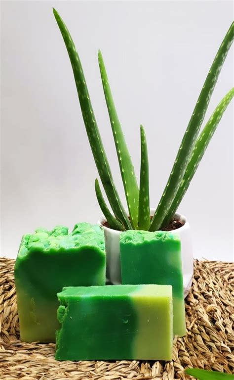 Jabón artesano Aloe vera 2 piezas Envío 24 48 horas Naturalove es