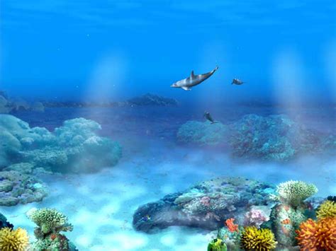 Free Download 3d Dolphin Screensaver Hd Walls Find Wallpapers 700x525
