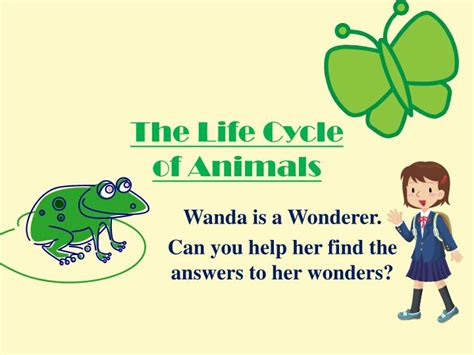 Ppt The Life Cycle Of Animals Powerpoint Presentation Free Download