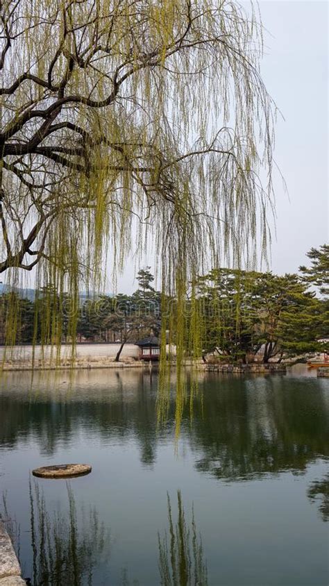 Beautiful Landscape Pictures At Gyeongbok Palace Seoul South Korea Stock Image Image Of