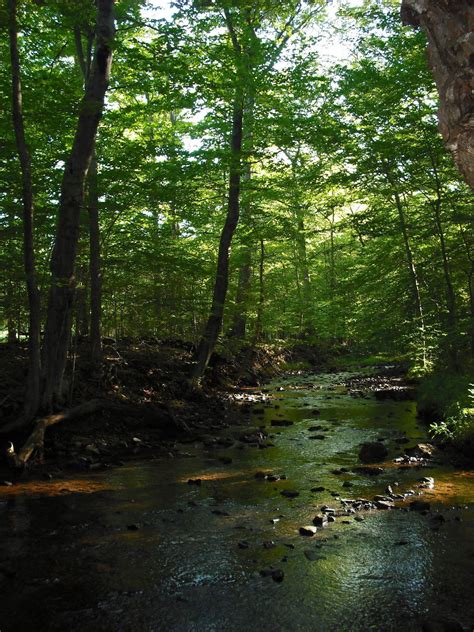 Lebanon Preservation Protects Drinking Water And Wildlife Habitat