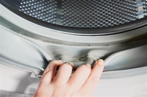 How To Clean Mold From A Washing Machine